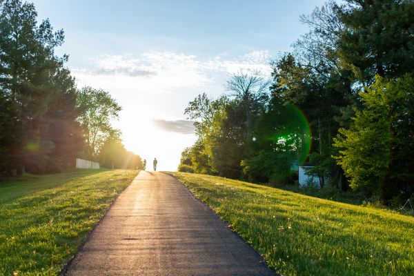 Cost of Asphalt Pathway Installation in Lodi
