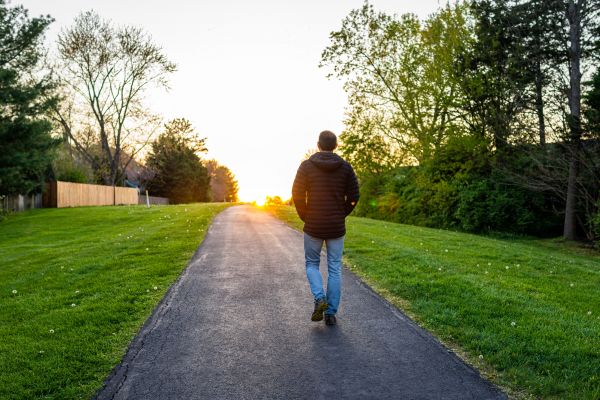 Cost of Paved Walkway Installation in Lodi
