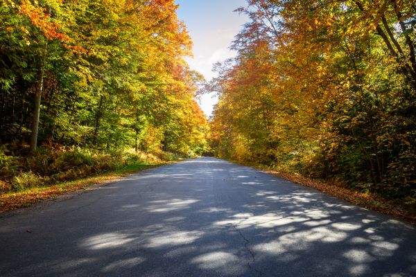 Cost of Blacktop Replacement in Lodi