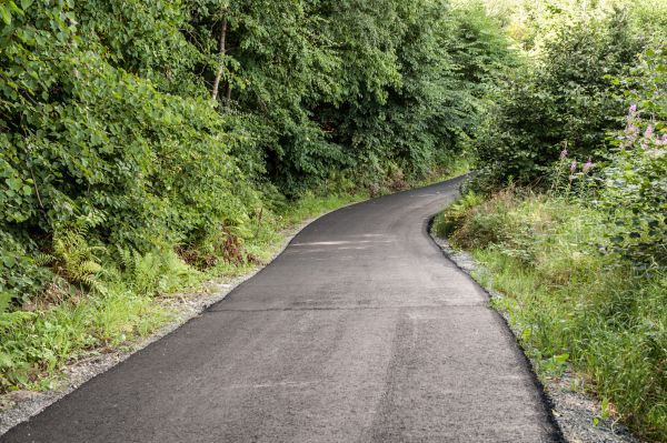 Asphalt Driveway Replacement in Lodi